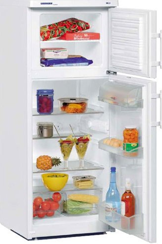 Холодильник CT 2431